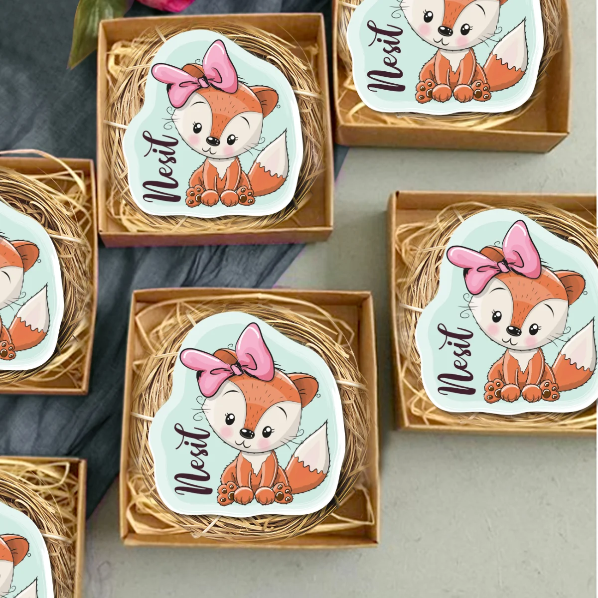 Tilki Bebek Magneti | Açık Mavi Pembe kurdele, isim Desenli