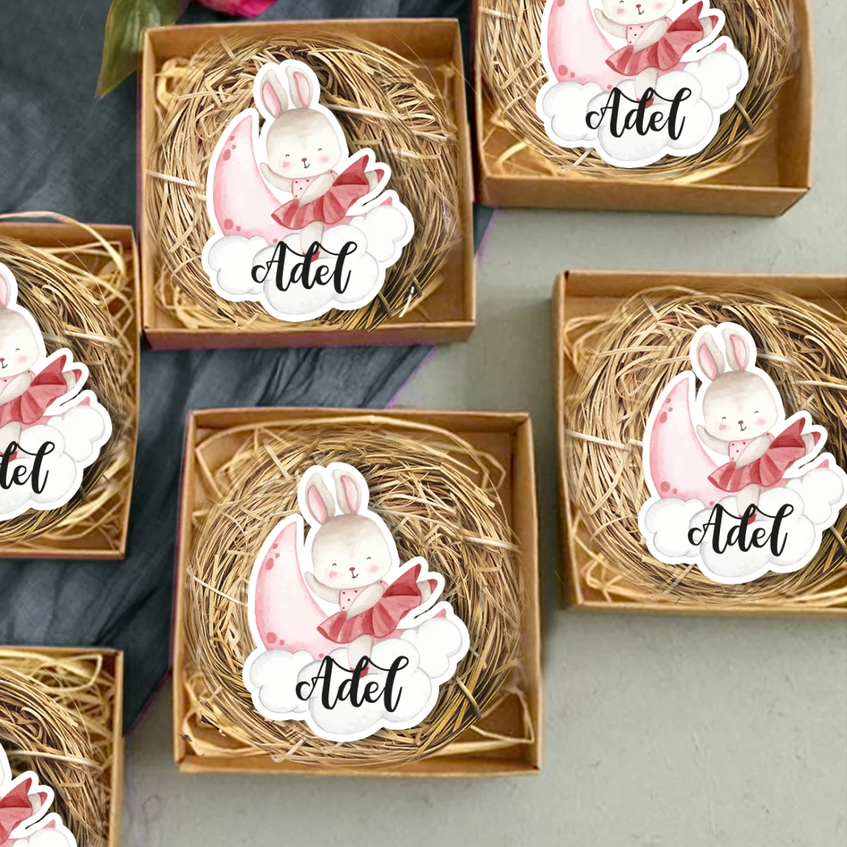 Ay ve Tavşan Bebek Magneti | Pembe Ay, bulutlar Desenli