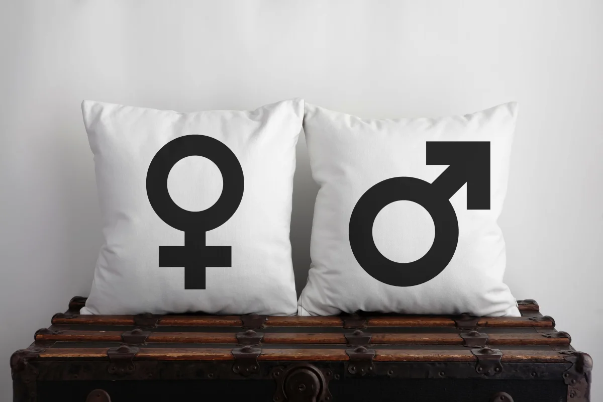 Tipi Çadırı, Doğa İkili Kırlent | Gri yıldız, ay Desenli